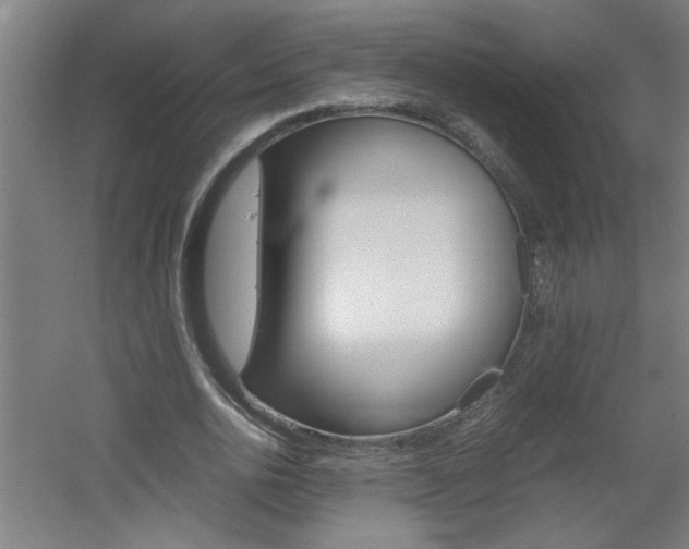 X0000060550726200511030851
