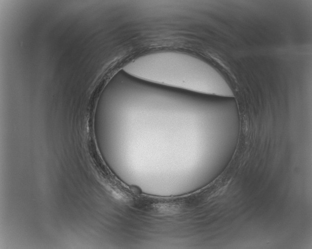 X0000060550733200511030851