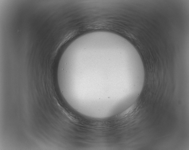 X0000060550735200511030851