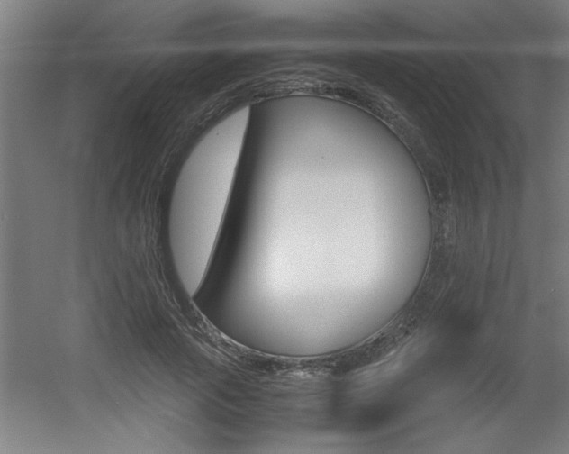 X0000060550737200511030851