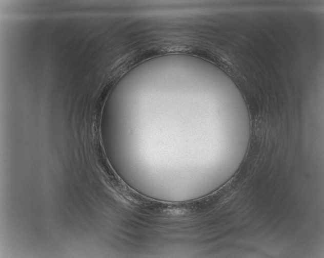 X0000060550741200511030851