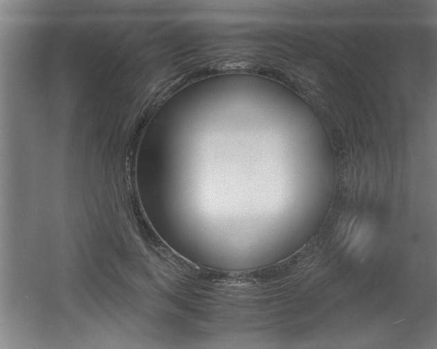 X0000060550743200511030851