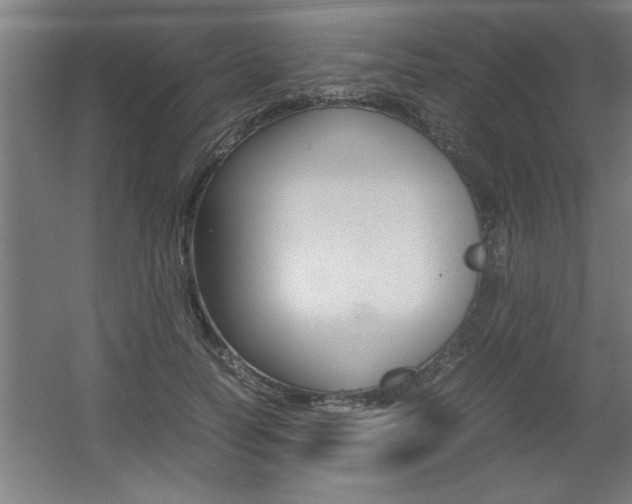 X0000060550746200511030851