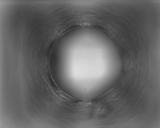 X0000060550747200511030851