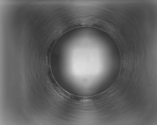 X0000060550748200511030851