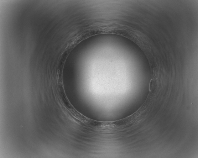 X0000060550752200511030851