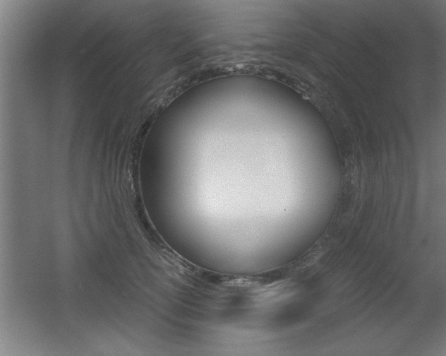 X0000060550754200511030851