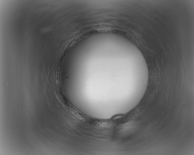 X0000060550755200511030851