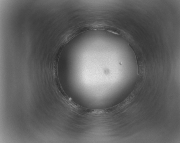 X0000060550762200511030851