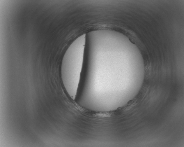 X0000060550765200511030852