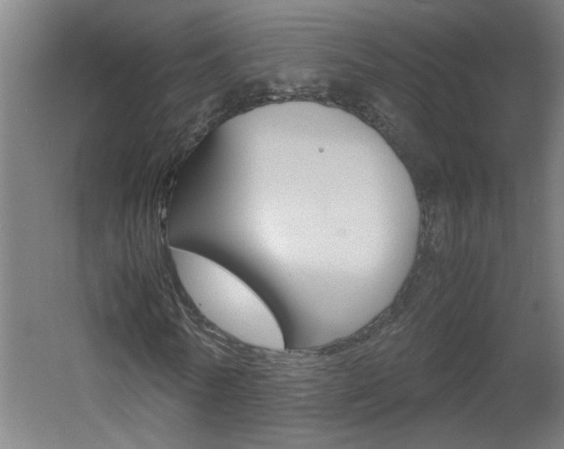 X0000060550770200511030851