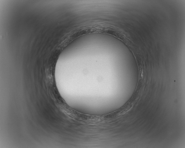 X0000060550771200511030851