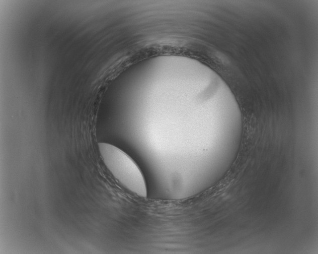 X0000060550774200511030851