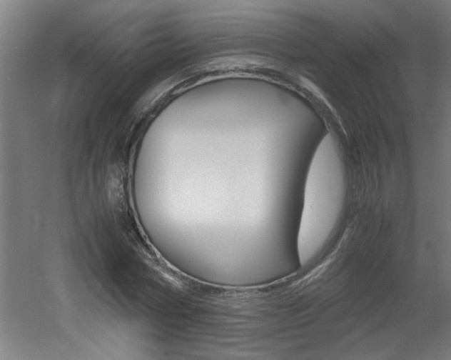 X0000060550778200511030851