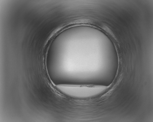 X0000060550781200511030851