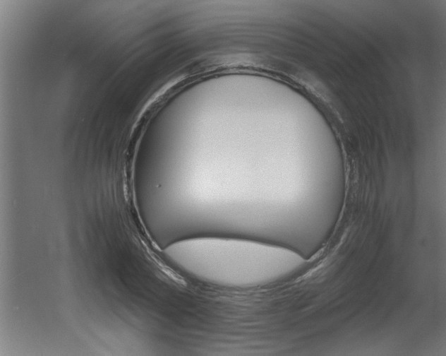 X0000060550782200511030851