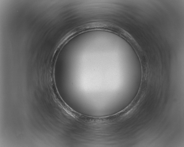 X0000060550786200511030850