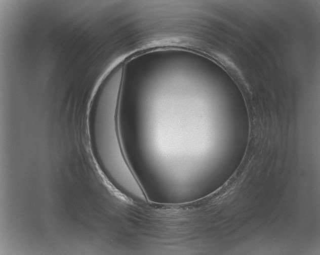 X0000060550792200511030850