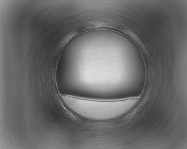 X0000060550793200511030850