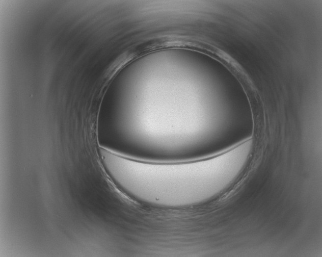 X0000060550801200511030850