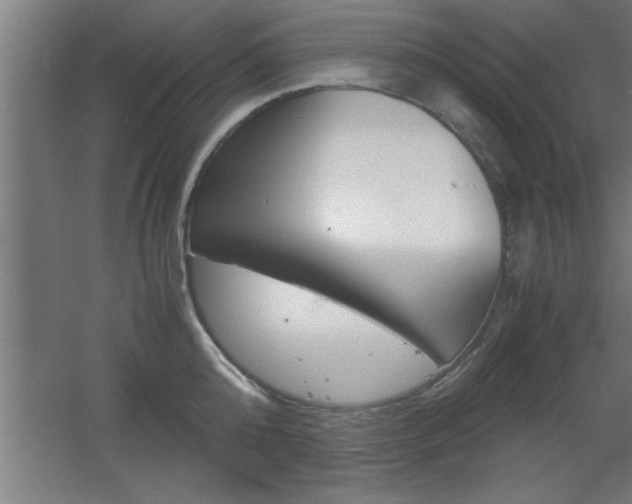 X0000060550808200511030850