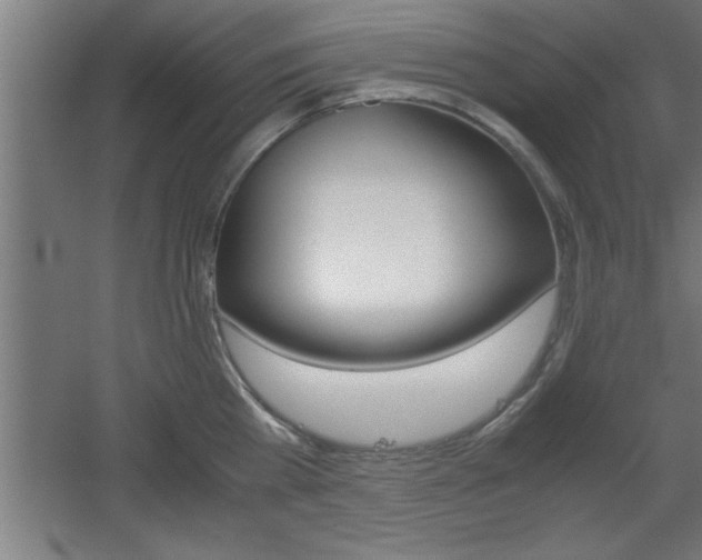 X0000060550809200511030850