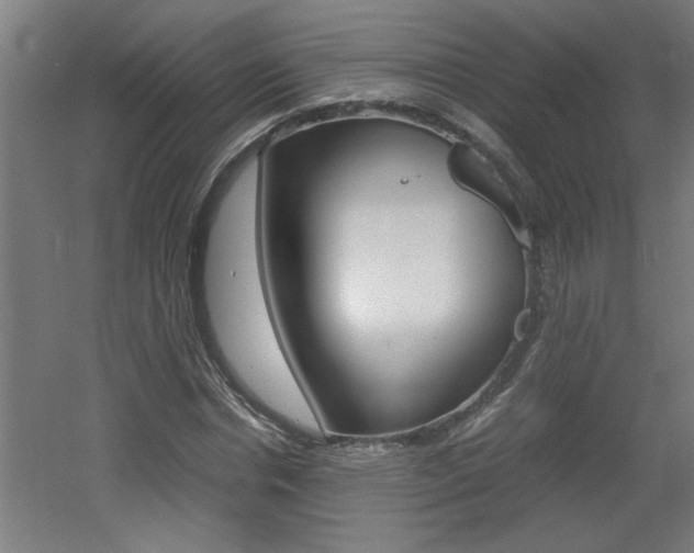 X0000060550826200511030849