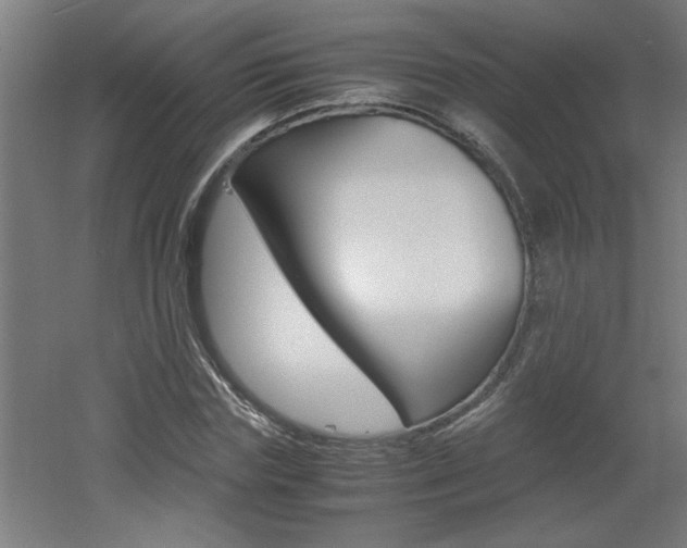 X0000060550827200511030849