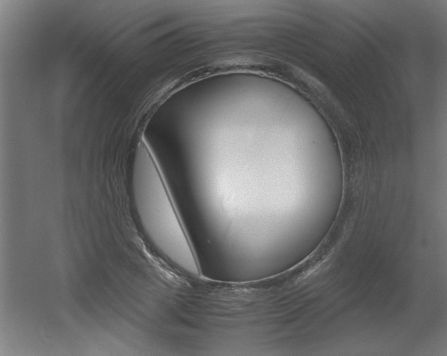 X0000060550833200511030849