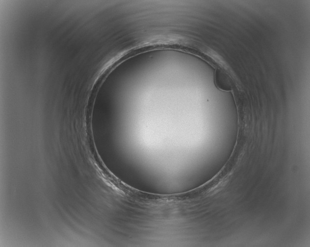 X0000060550834200511030849