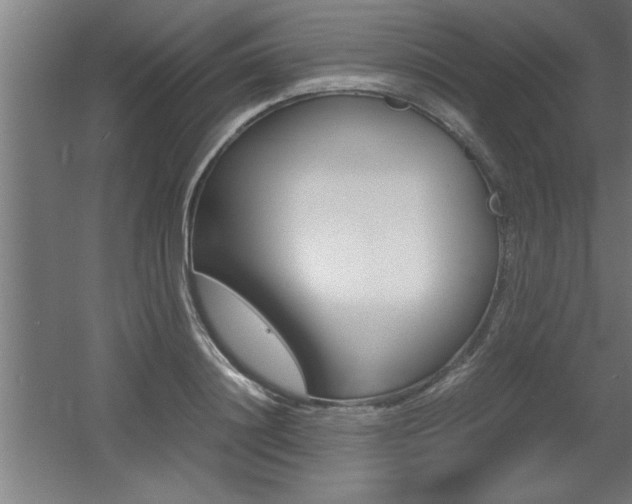 X0000060550844200511030850