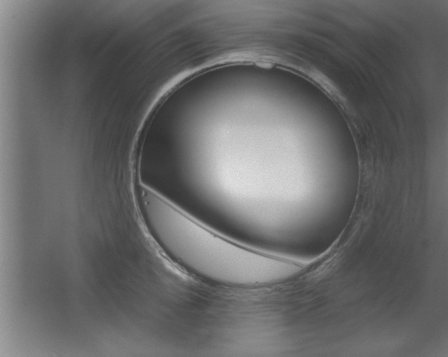 X0000060550854200511030850