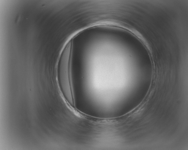 X0000060550862200511030850