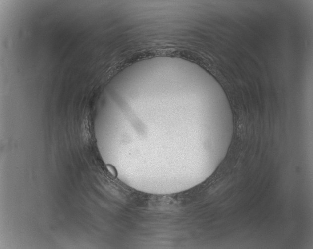 X0000060550866200511030849