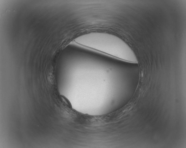 X0000060550867200511030849