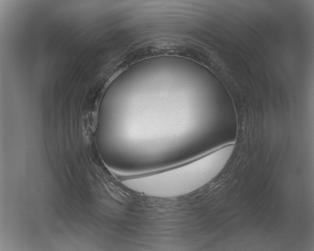 X0000060550868200511030849