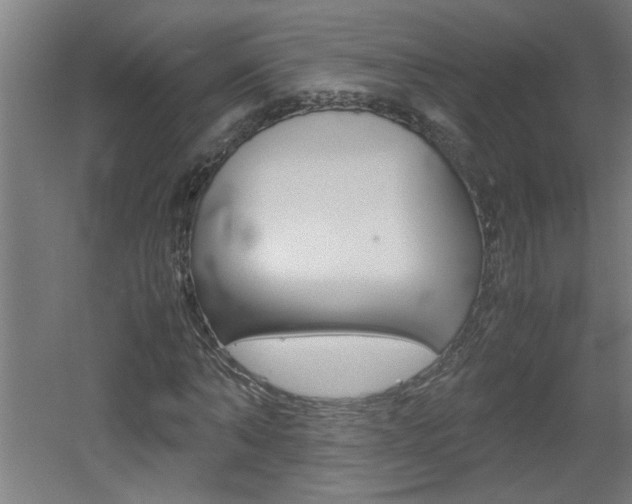 X0000060550870200511030849