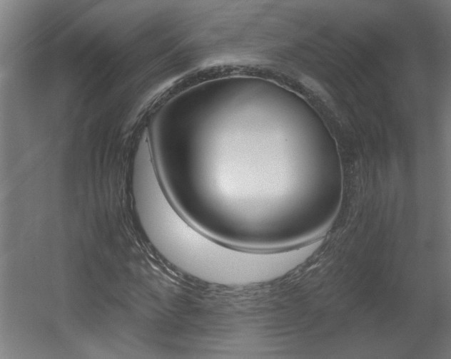 X0000060550872200511030849