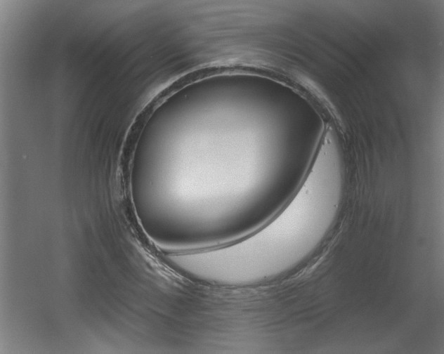 X0000060550876200511030849