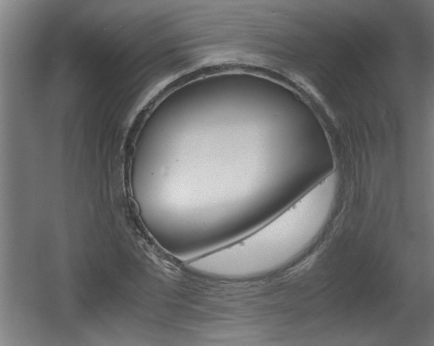 X0000060550877200511030849