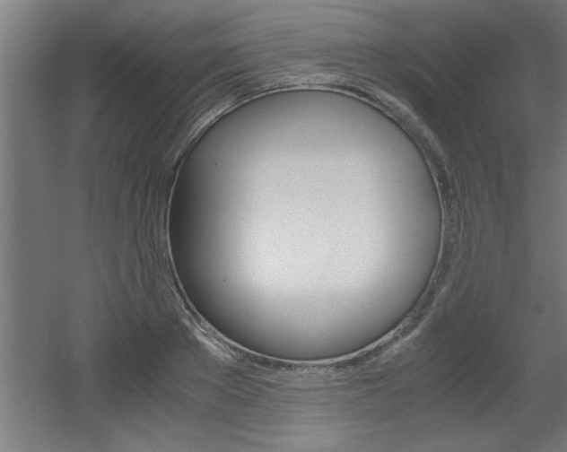X0000060550889200511030849