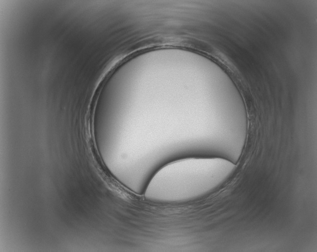 X0000060550891200511030849