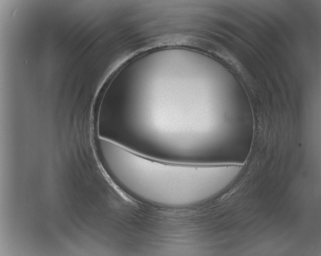 X0000060550894200511030849