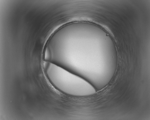 X0000060550895200511030849