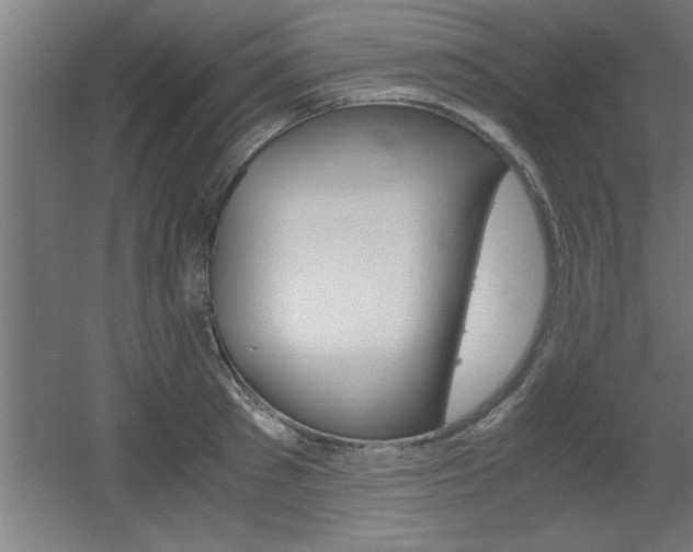 X0000060550897200511030849