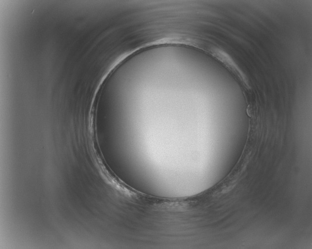 X0000060550900200511030849