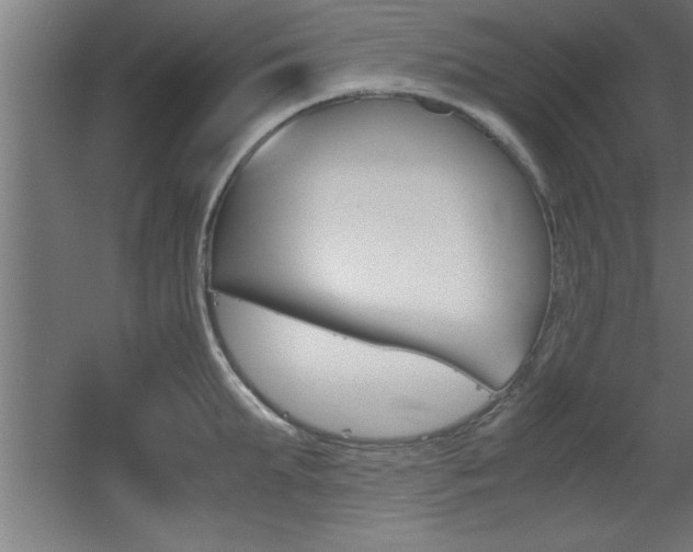 X0000060550903200511030848