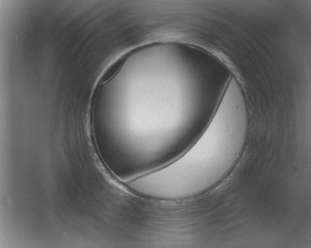 X0000060550904200511030848