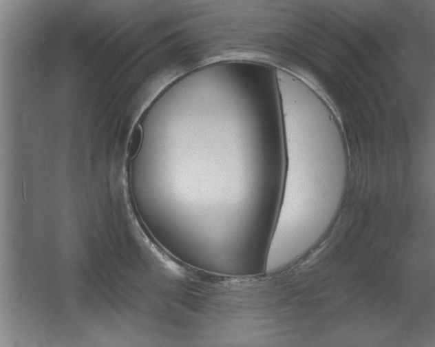X0000060550906200511030848