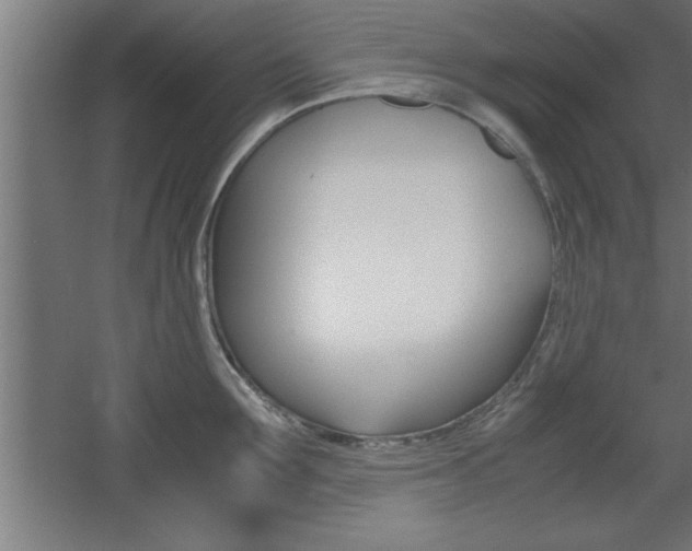 X0000060550907200511030848